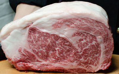 La marezzatura della carne spiegata facile!